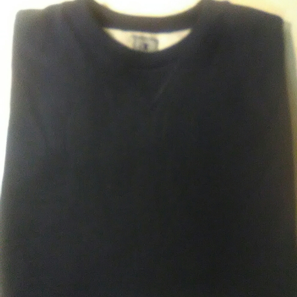 Champion Navy Blue sweatshirt